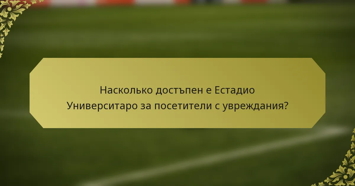 Насколько достъпен е Естадио Университаро за посетители с увреждания?